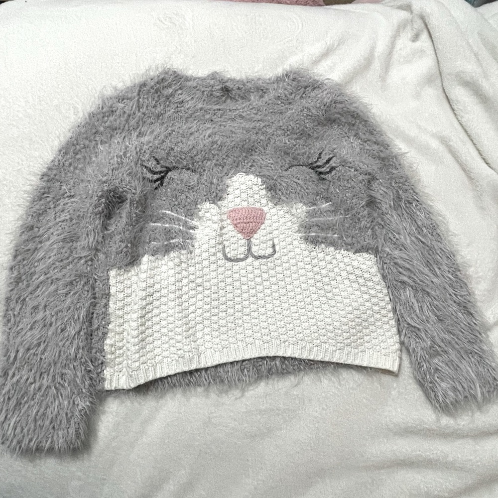 Fuzzy Bunny Top